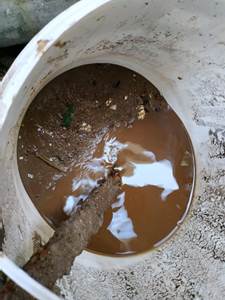 從圖中可見，大廈入水水缸已積聚大量污泥，污穢程度令人驚嚇。（相片由受訪者提供。）