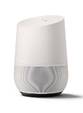 Google's Home AI speaker answers back to the firm's own TV ads | Daily Mail Online